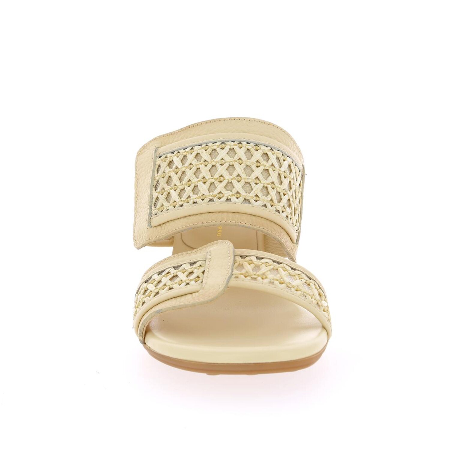 Zoom Hispanitas Mulles