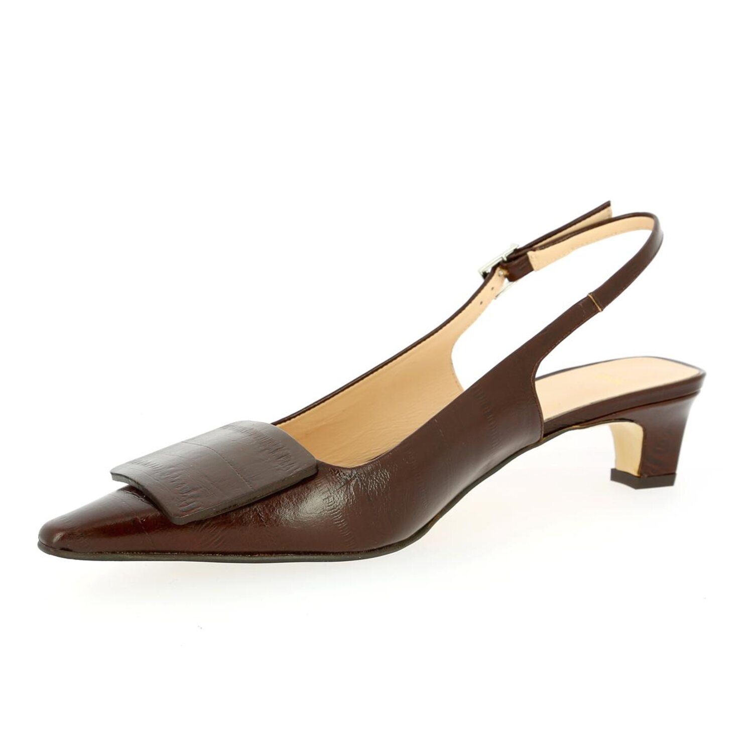 Zoom Zinda Décolletés