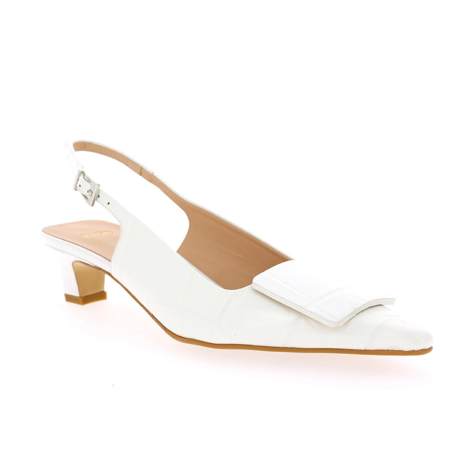 Zoom Zinda Décolletés