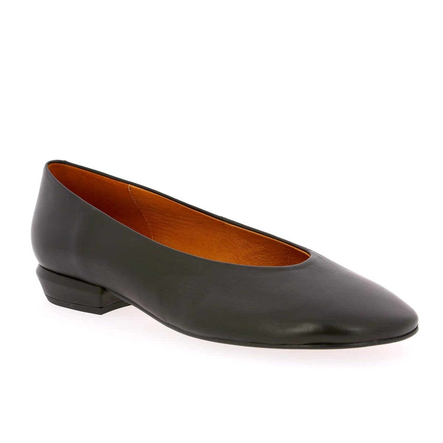 Zoom Ballerinas Angel Alarcon