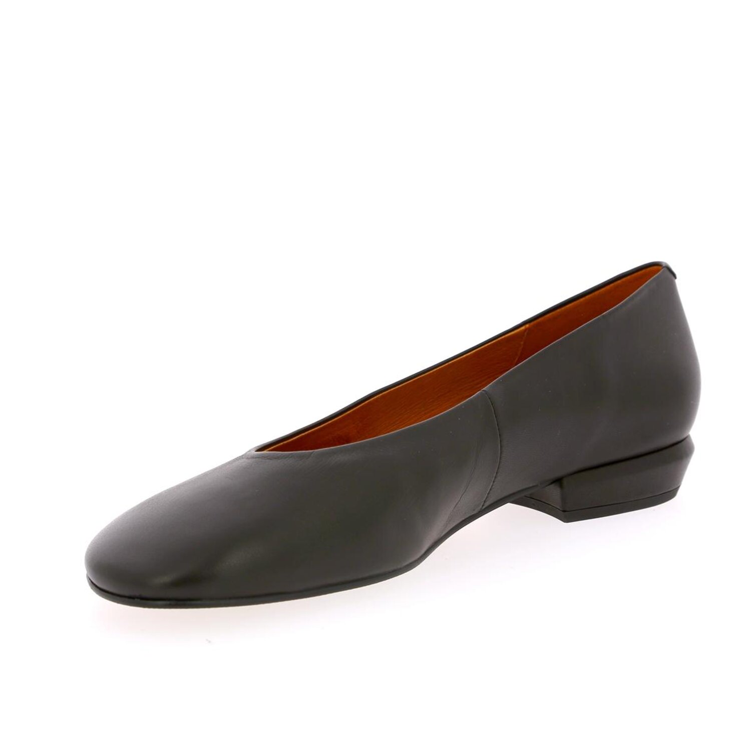 Zoom Ballerinas Angel Alarcon