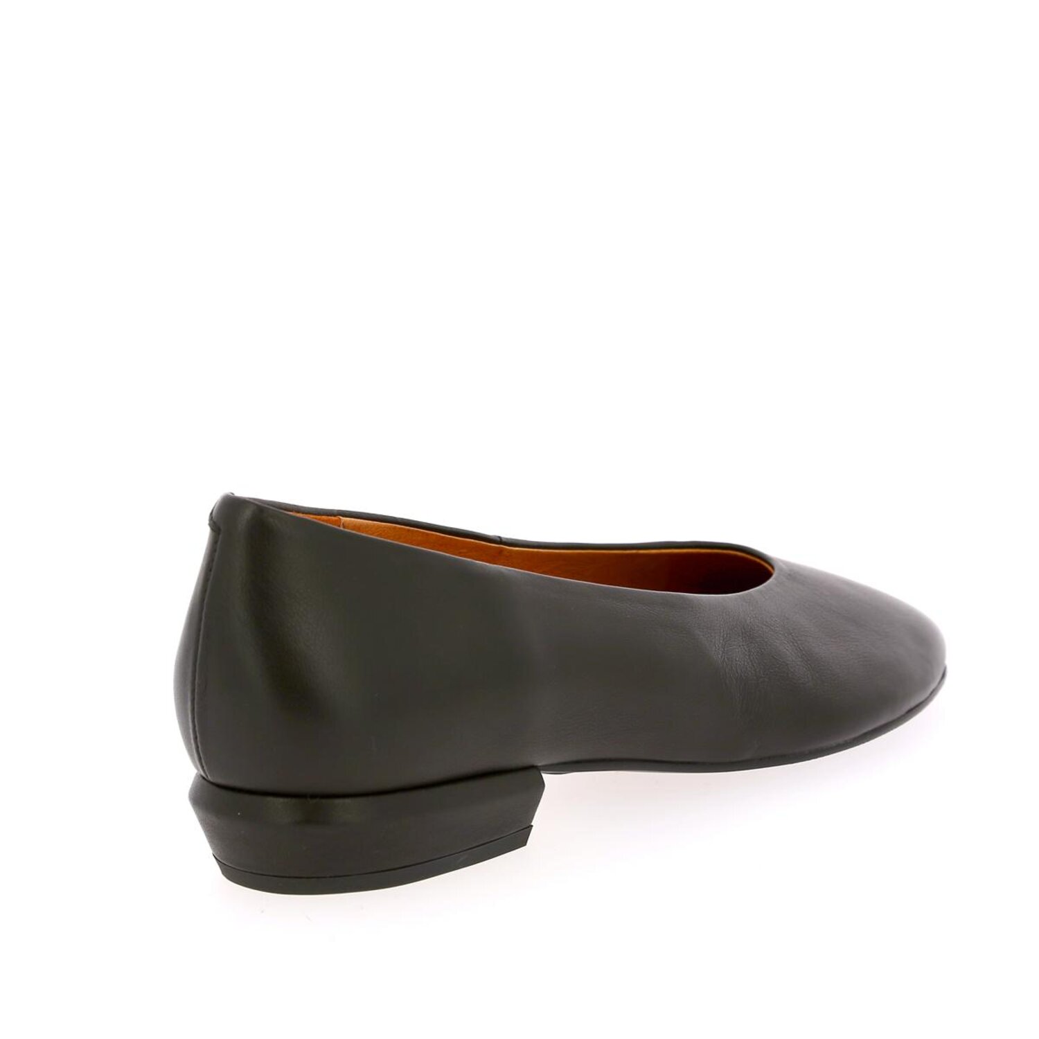 Zoom Ballerinas Angel Alarcon