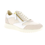 Dlsport Sneakers