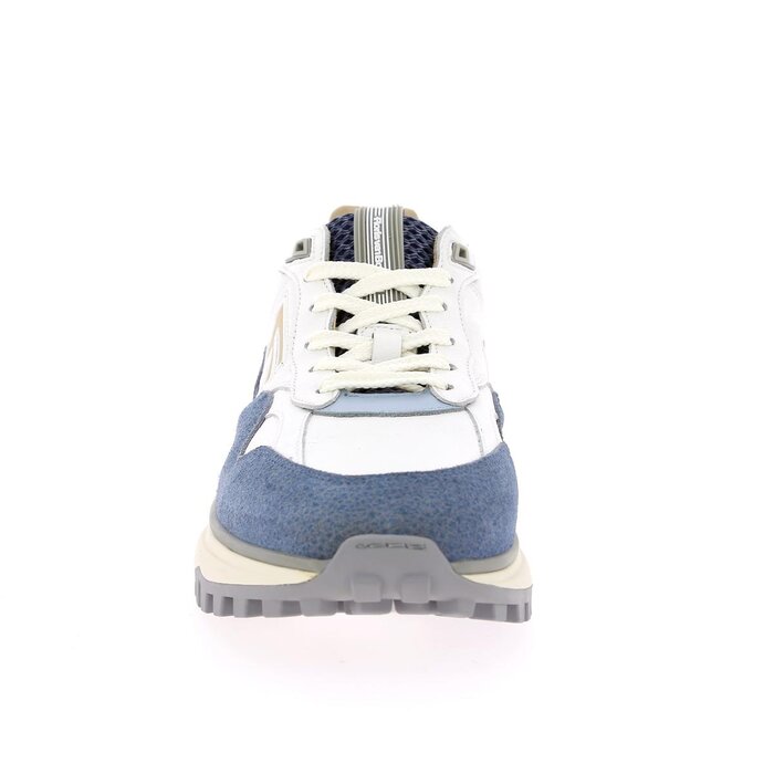 Floris Van Bommel Basket bleu