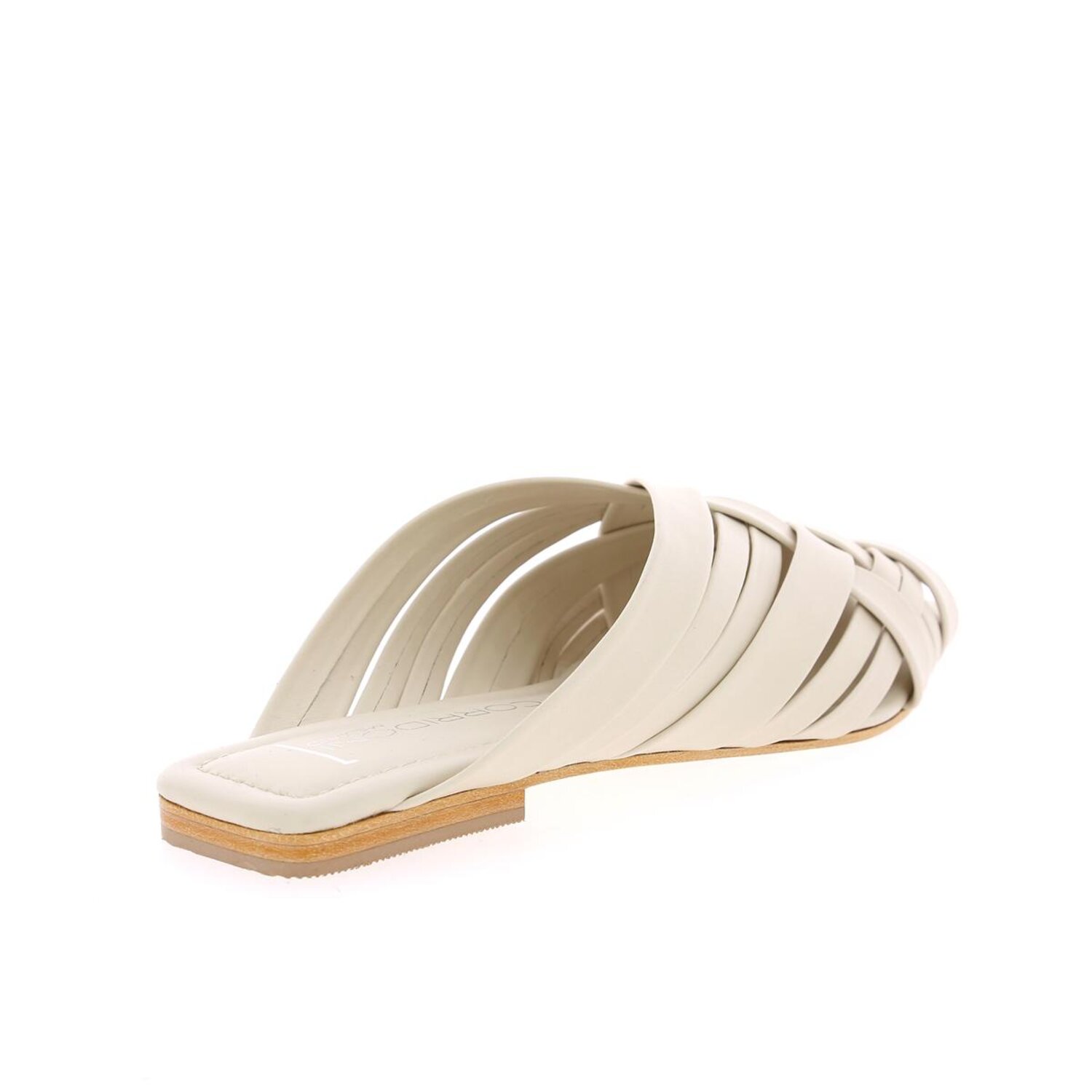 Zoom Corridoni Mulles