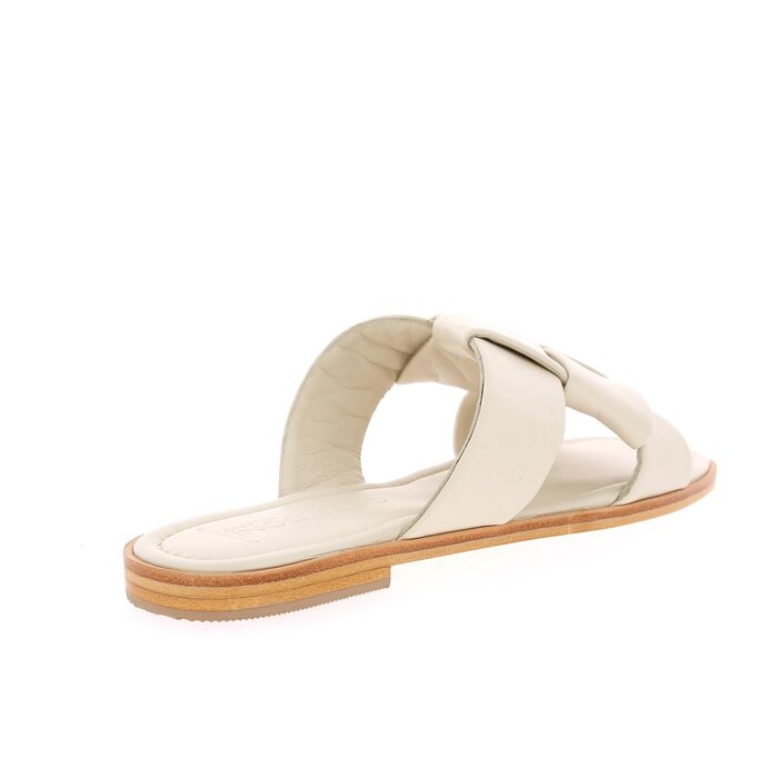 Corridoni Mulles milk