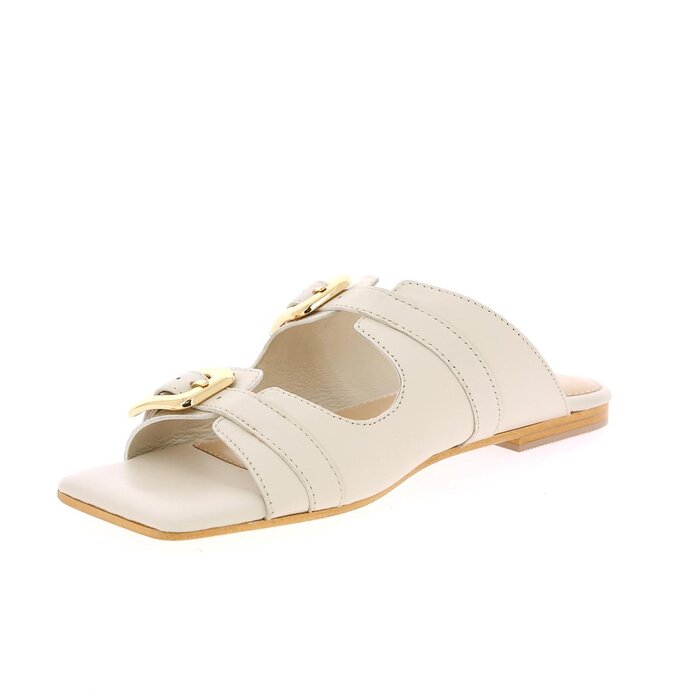 Corridoni Mulles milk