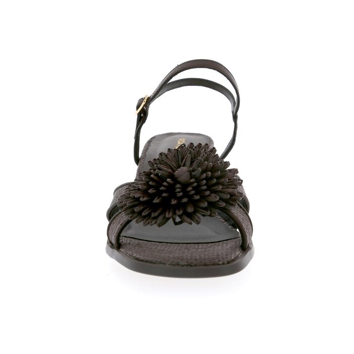 Noa Harmon Sandales brun