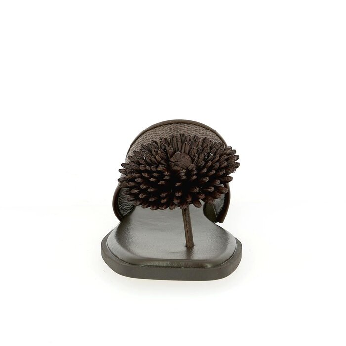 Noa Harmon Muiltjes - slippers bruin