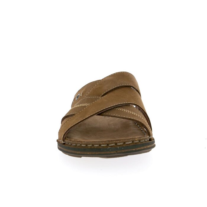 Cypres Muiltjes bruin