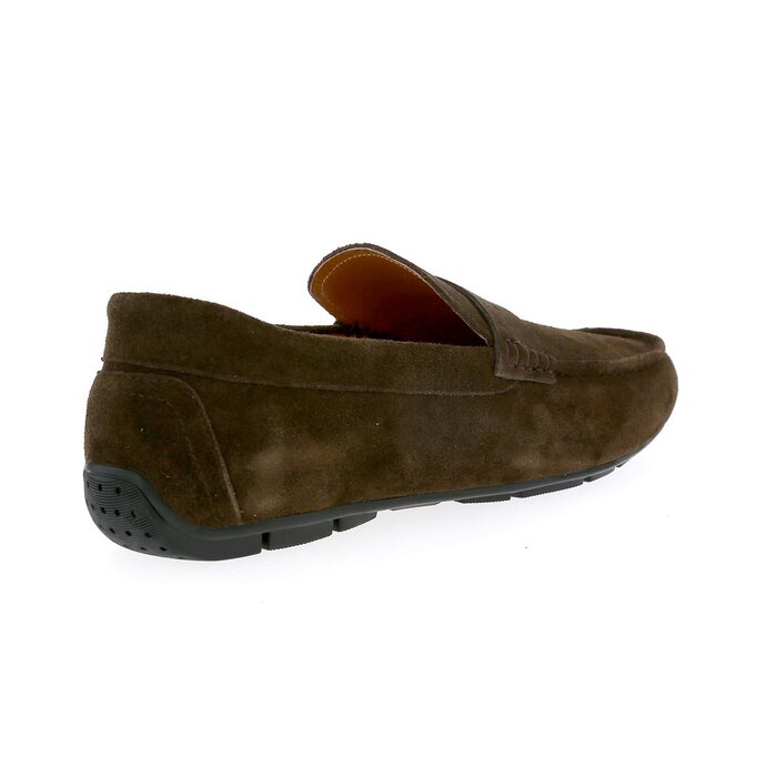 Daniel Kenneth Instappers bruin