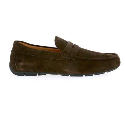 Daniel Kenneth Moccassins