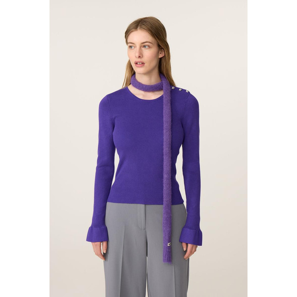 Fabienne Chapot Lilo Pullover pull mauve