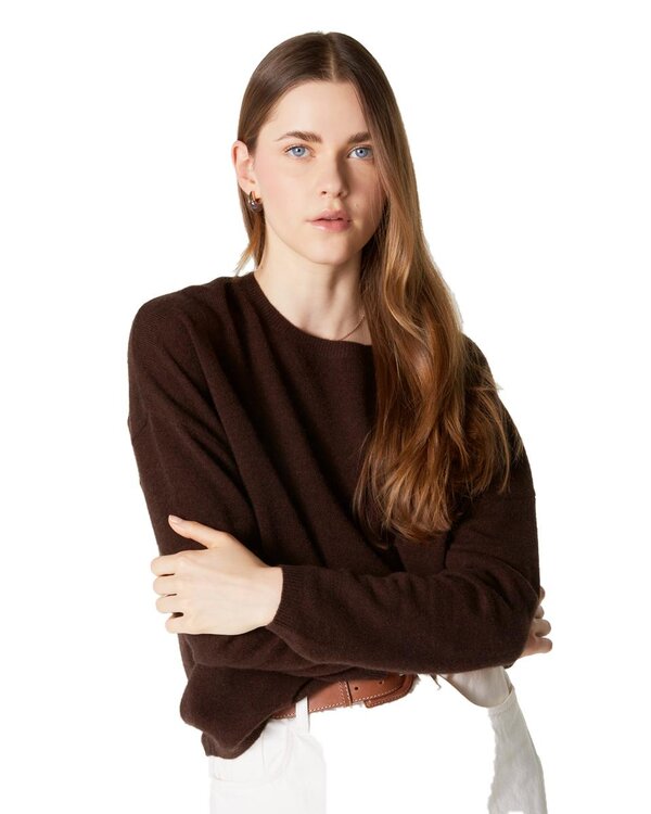 Absolut Cashmere Kaira pull bruin