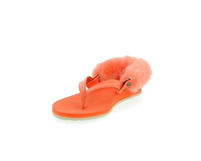 Ugg Muiltjes - slippers