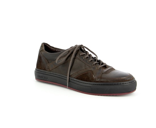 Ambiorix Sneakers bruin