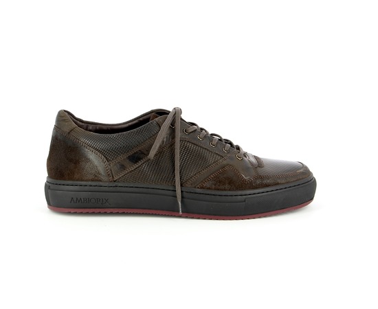 Ambiorix Sneakers bruin