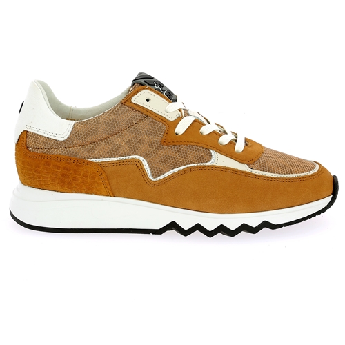 Floris Van Bommel Sneakers cognac