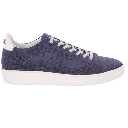 Floris Van Bommel Basket bleu